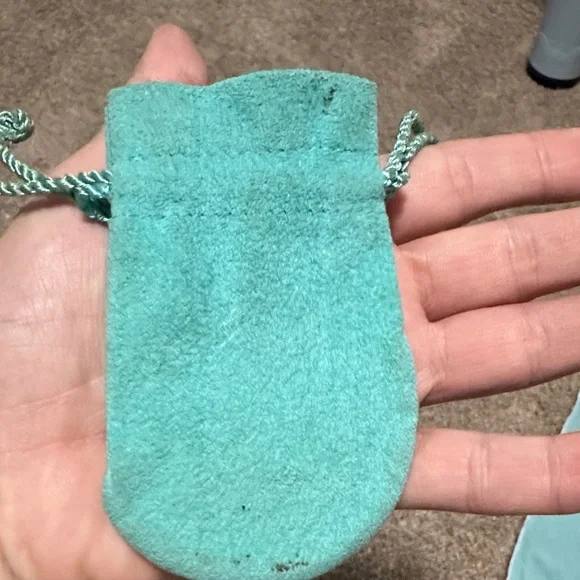 Tiffany & Co. Turquoise Pouch Collection - Picture 14 of 16